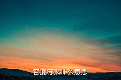 百度行家什么意思