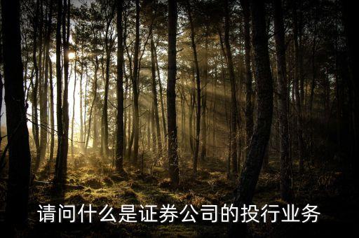 什么是類投行業(yè)務(wù)，請問什么是證券公司的投行業(yè)務(wù)