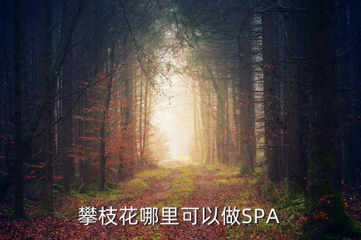 雅化集團(tuán)攀枝花恒泰做什么的，攀枝花哪里可以做SPA