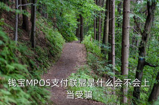 恒寶mpos是什么，錢寶MPOS支付聯(lián)盟是什么會不會上當受騙