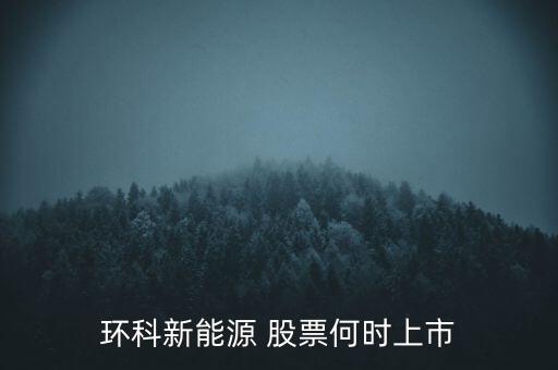 新能源股票什么時候上市呢，環(huán)科新能源 股票何時上市