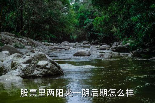 股票里兩陽(yáng)夾一陰后期怎么樣