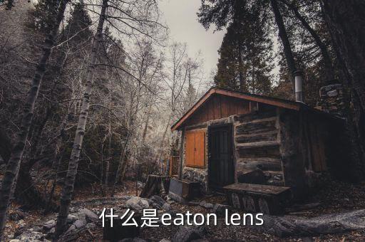 什么是eaton lens