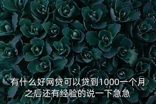 有什么好網(wǎng)貸可以貸到1000一個月之后還有經(jīng)驗(yàn)的說一下急急