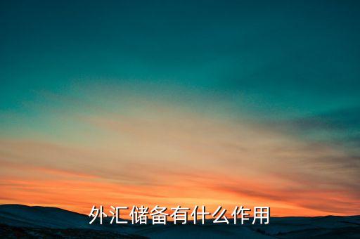 外匯儲(chǔ)備有什么作用