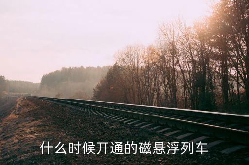 什么時(shí)候開通的磁懸浮列車