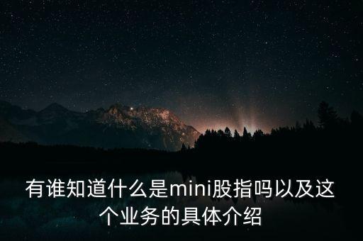 有誰知道什么是mini股指嗎以及這個業(yè)務(wù)的具體介紹