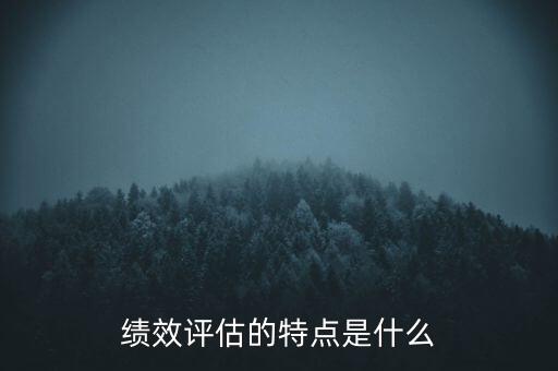 績效評估的特點(diǎn)是什么