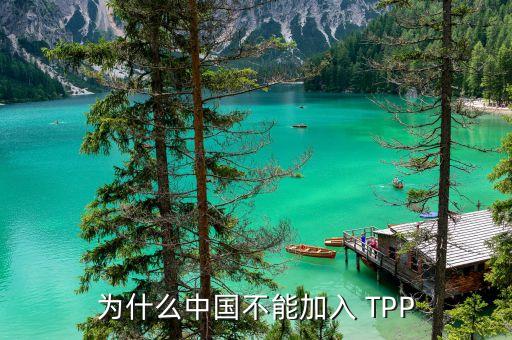 中國加入不了tpp的原因是什么，為什么中國不能加入 TPP