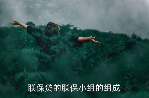 貸款中小組聯(lián)保特征是什么，聯(lián)保貸的聯(lián)保小組的組成