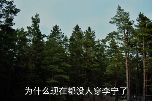 李寧為什么不行了，李寧公司為何一夜垮臺(tái)