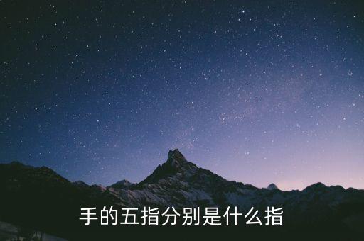 五指最后小指是什么指，五指 怎么分別