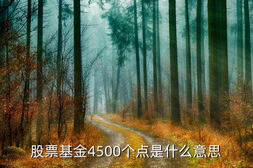 股票4500點是什么意思，4500點以下不減持是什么意思