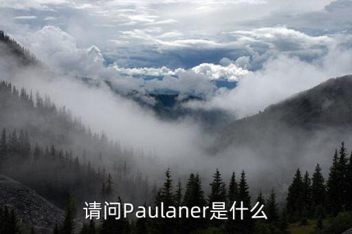 請問Paulaner是什么