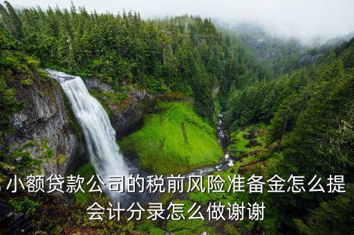 小貸公司風(fēng)險撥備是什么，風(fēng)險撥備金是什么樂錢有嗎