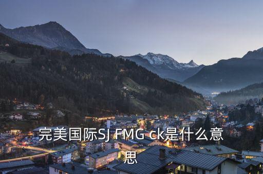 完美國(guó)際SJ FMG ck是什么意思