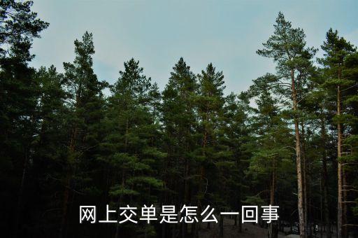 什么叫電子交單，網(wǎng)上交單是怎么一回事