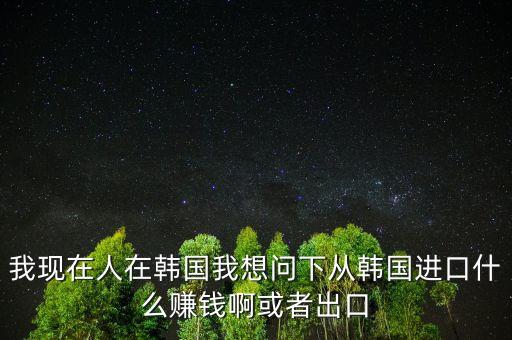 我現在人在韓國我想問下從韓國進口什么賺錢啊或者出口