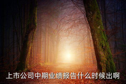 中報業(yè)績最晚什么時間公布，規(guī)定股票中報什么時候出