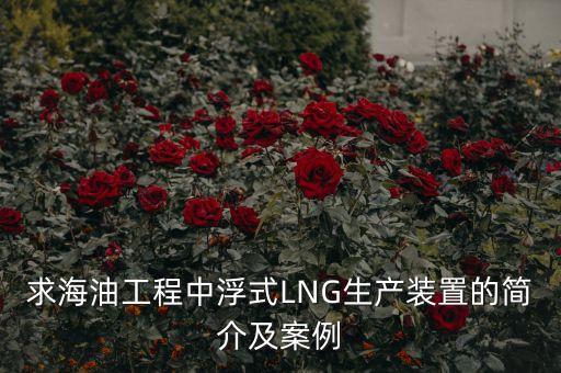 什么是浮式lng項(xiàng)目，什么是浮式LNG