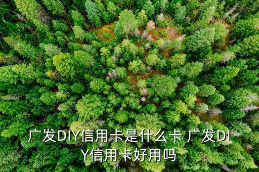 什么是diy信用卡，廣發(fā)DIY信用卡是什么卡 廣發(fā)DIY信用卡好用嗎