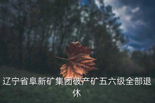 阜礦集團(tuán)什么時候破產(chǎn)，遼寧省阜新礦集團(tuán)破產(chǎn)礦五六級全部退休