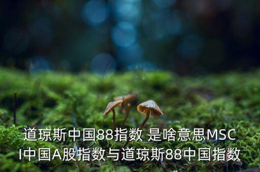 88開頭的股票是什么股，88打頭的股票代碼是那個交易所