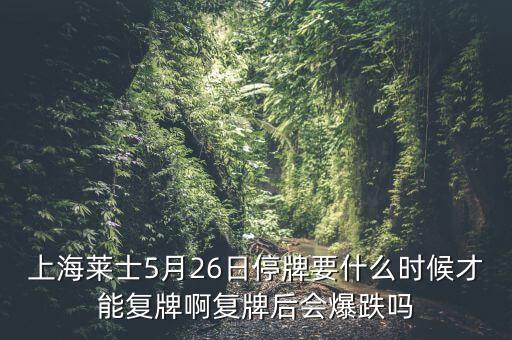 上海萊士5月26日停牌要什么時候才能復牌啊復牌后會爆跌嗎