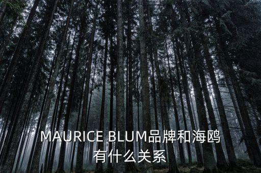 MAURICE BLUM品牌和海鷗有什么關(guān)系