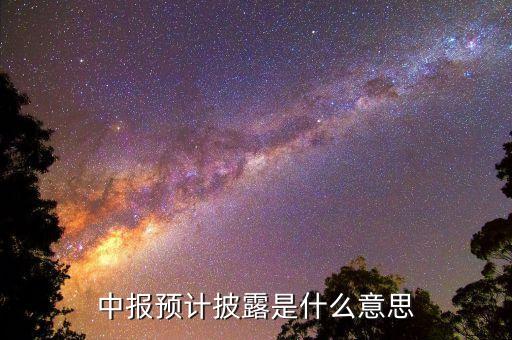 預(yù)先披露是什么意思，中報(bào)預(yù)計(jì)披露是什么意思