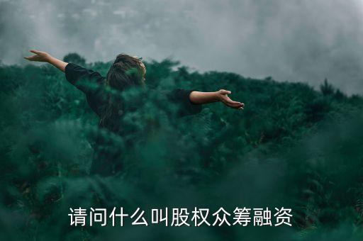 請問什么叫股權(quán)眾籌融資