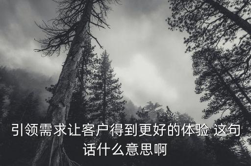 什么是引領(lǐng)需求，引領(lǐng)需求讓客戶得到更好的體驗(yàn) 這句話什么意思啊