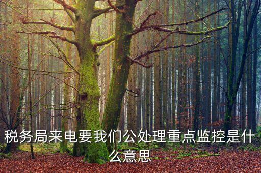 稅務(wù)局來電要我們公處理重點(diǎn)監(jiān)控是什么意思