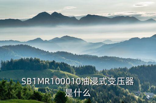 油浸式變壓器什么是酚推，SB1MR100010油浸式變壓器是什么