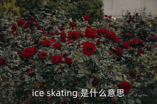 ice skating 是什么意思