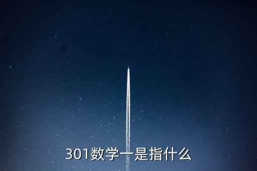 301數(shù)學一是指什么