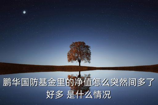 鵬華國防基金里的凈值怎么突然間多了好多 是什么情況