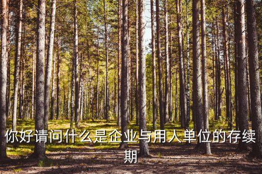 什么叫存續(xù)合同，法律上所謂的續(xù)存是什么意思