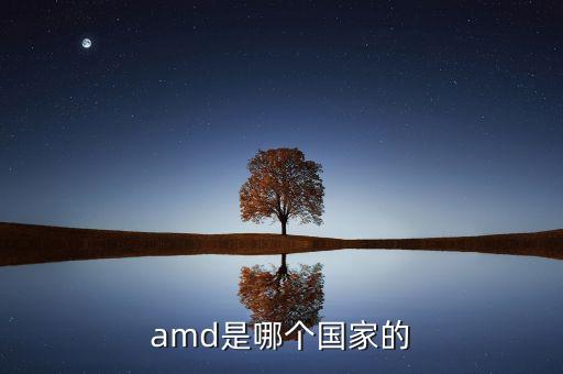 amc是什么公司，amd是哪個國家的