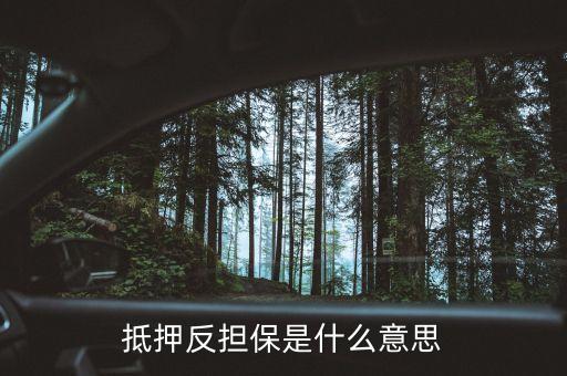 抵押反擔保是什么意思