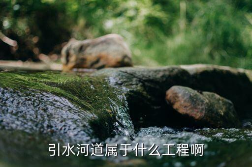 引水河道屬于什么工程啊