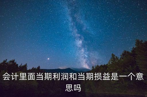 當期利潤是指什么意思，當期利潤當期應(yīng)付利息等等中的當期是什么含義