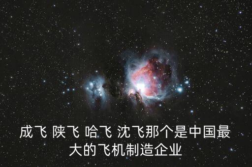 成飛 陜飛 哈飛 沈飛那個(gè)是中國(guó)最大的飛機(jī)制造企業(yè)