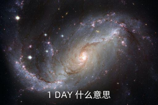 天天發(fā)1天期什么意思，1 DAY 什么意思