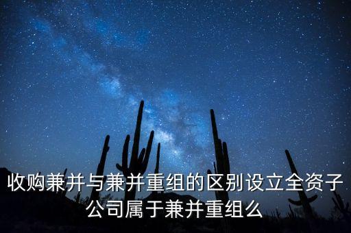 新設(shè)立子公司算什么合并，新設(shè)立1全資子公司算同1控制下合并