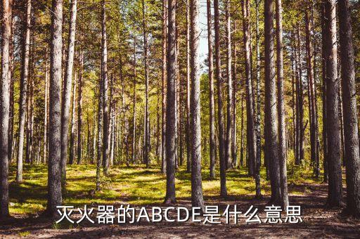 滅火器的ABCDE是什么意思