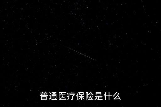 普通醫(yī)療保險是什么