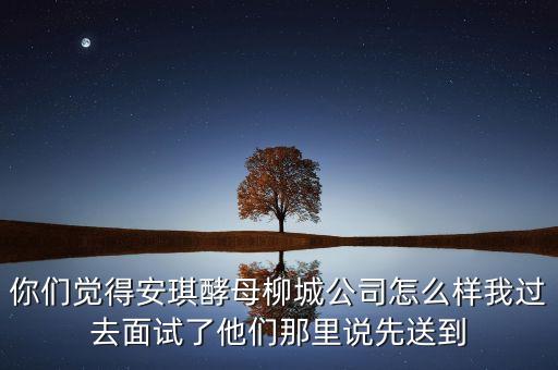 你們覺得安琪酵母柳城公司怎么樣我過去面試了他們那里說先送到