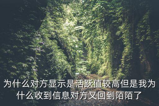 為什么對方顯示是活躍值較高但是我為什么收到信息對方又回到陌陌了