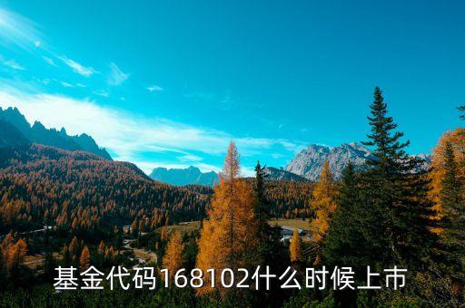 168101基金什么時候上市，基金代碼168102什么時候上巿